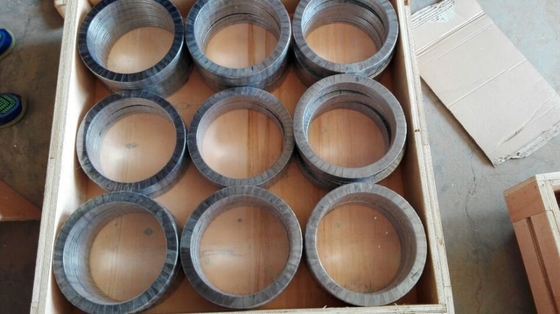 Presa de grafite en polvo de escamas personalizable para sellado mecánico adaptada a sus necesidades